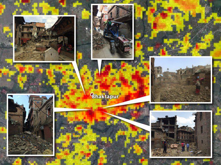 feature animals earthquakes communicating south asias research feature animals earthquakes communicating south asias research